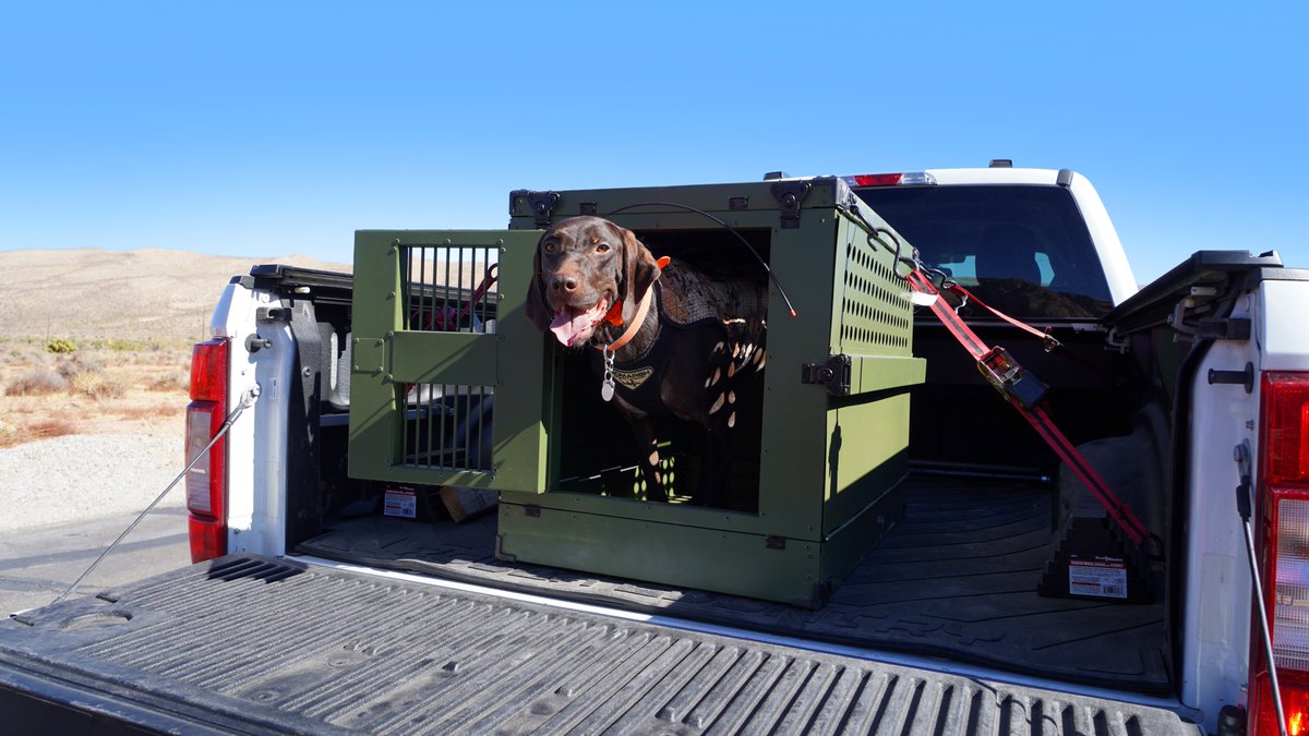 pethercules's tweet photo. When your crate's more durable than your buddy’s toolbox 😎🔧#ServiceDogs #DogCrates #CollapsibleDogCrate #Adventure #Dogs #DogAdventures #HuntingDogs https://t.co/zS4el4E4Gn
