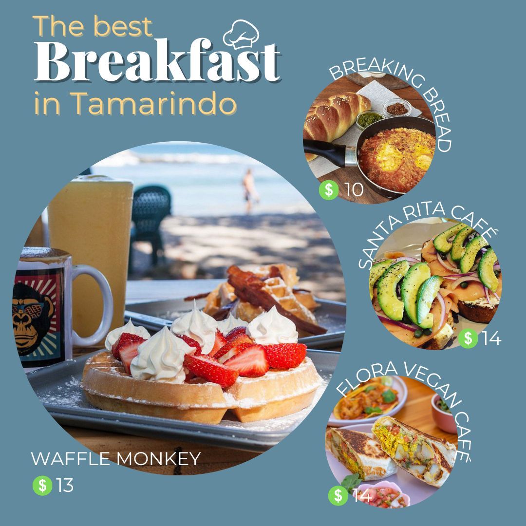 AdventureTourCR's tweet photo. Craving breakfast in Tamarindo? 🍳🥓🌱 From Costa Rican classics to vegan bites &amp; sweet treats—this beach town’s got it all! ☕🌴 #TamarindoEats #CostaRicaVibes #BreakfastGoals #PuraVida 

Read now: https://t.co/vcPC1ezgk5 https://t.co/40gTRKX3h1