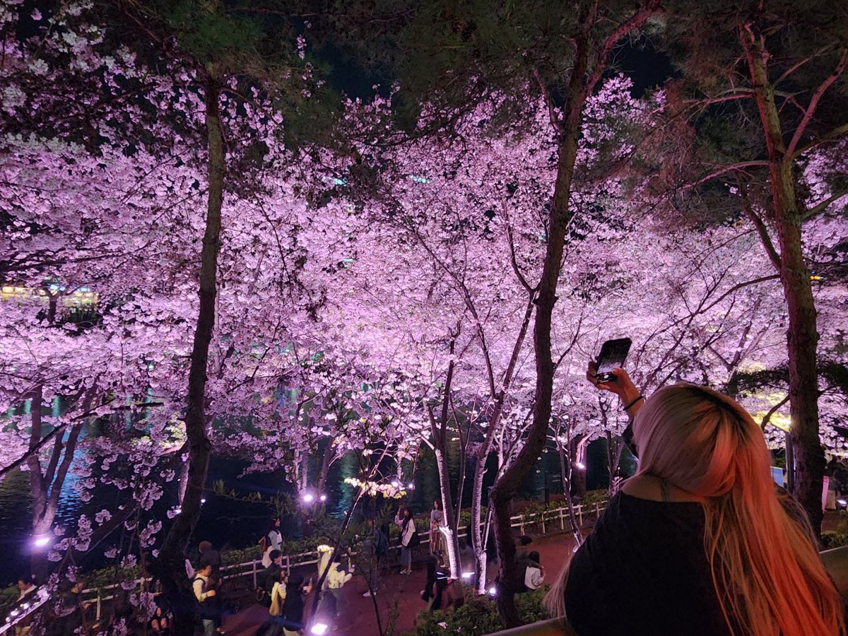 j2m2n_02's tweet photo. 🌸 https://t.co/9duF3SLZpe
