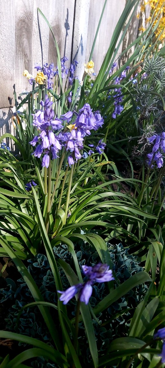 Chris Murphy tweet media