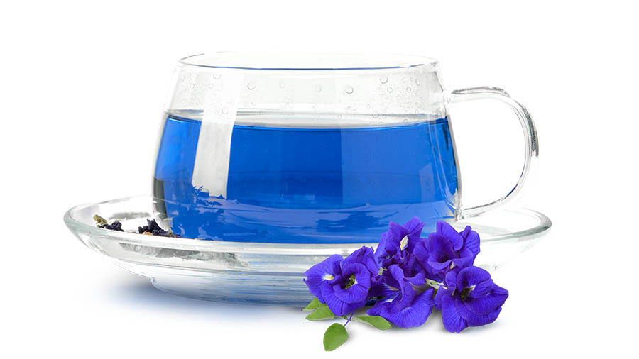 i_am_anki_'s tweet photo. Brewing Magic: My Love Affair with Blue Tea 🌸💙

https://t.co/7Na93ybdpk

#bluetea #TEAlovers #teatype #teabenefits https://t.co/pfFeV5E6nN