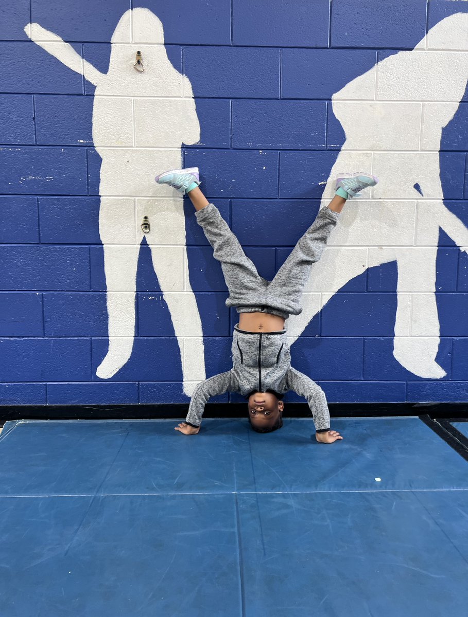 BSLSchool_wpg's tweet photo. Look at that balance and strength! https://t.co/HgZMrszU4s