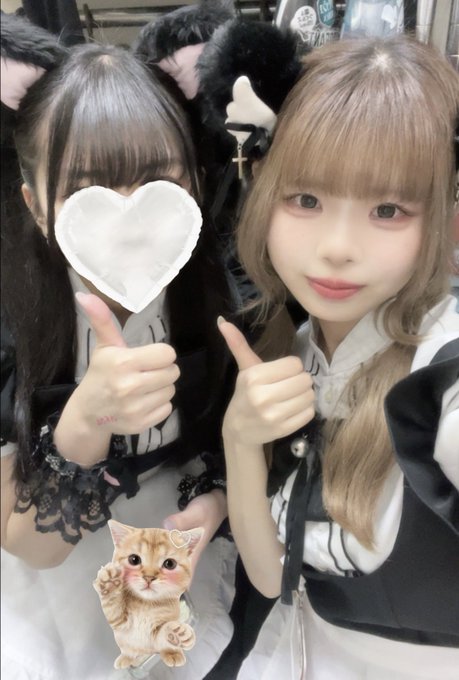 黒猫メイド魔法カフェ　ドン・キホーテ広島八丁堀店のツイート