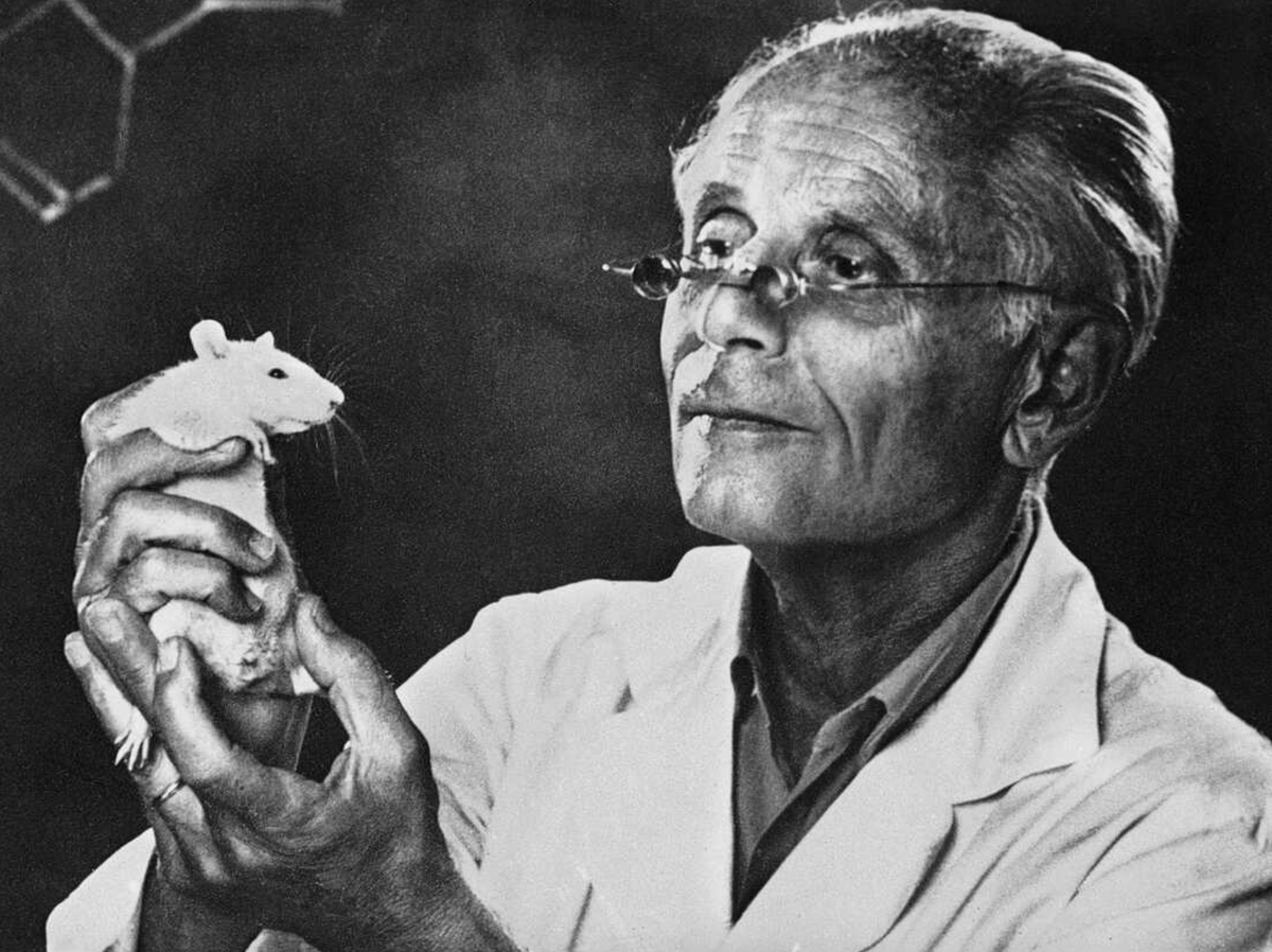 theflohart's tweet photo. The $43 billion industry built on a medical lie: 

STRESS

it isn't what you think it is.

Hans Selye, called the 'Einstein of Medicine' and nominated for 17 Nobel Prizes, discovered the truth decades ago.

Here are his 4 core lessons that transform pressure into peak performance: 🧵👇
