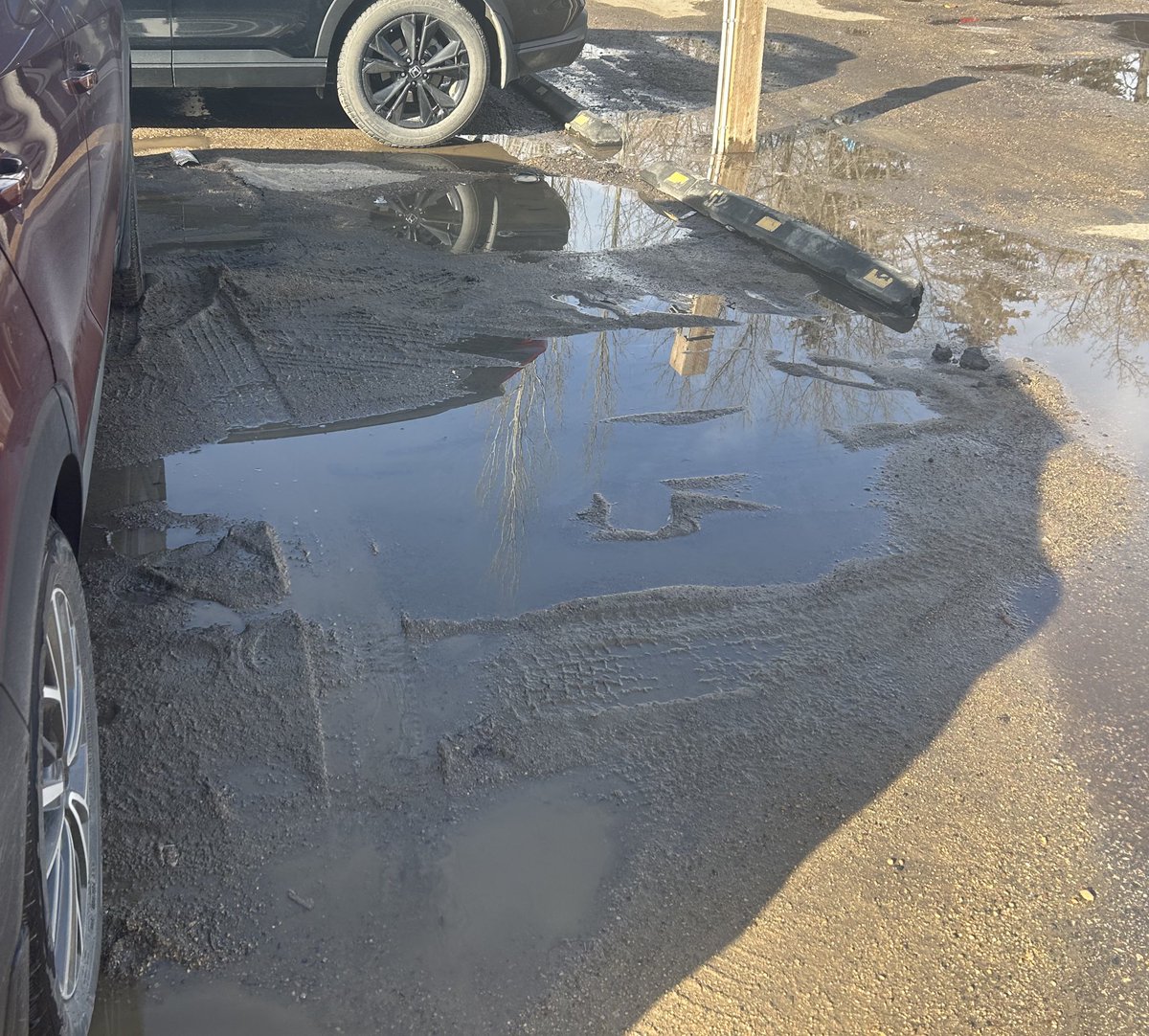 jiyanihitesh tweet media