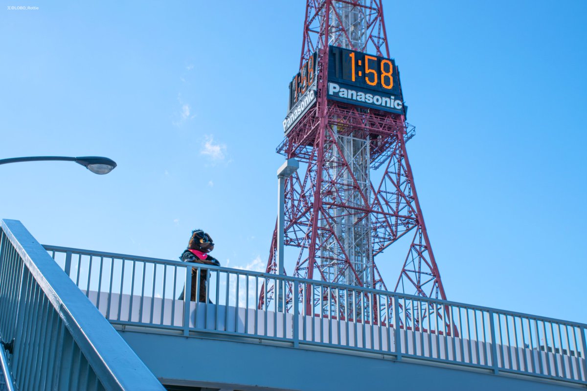 Sapporo TV Tower!🐕🗼

📷<a href="/kannuk_helicop/">努克／Kannuk➡️二足歩行TwinTrails</a>