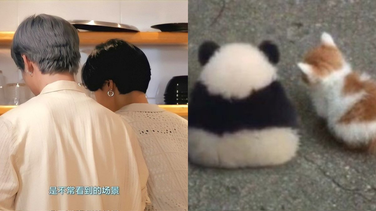 kun as panda tweet media