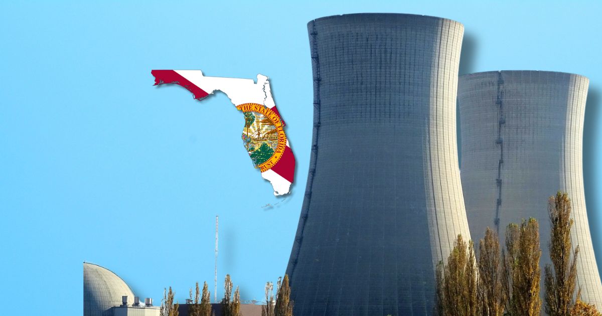 Florida Attorney General Sues Federal Nuclear Agency Over Advanced Reactor Delays floridadaily.com/florida-attorn…