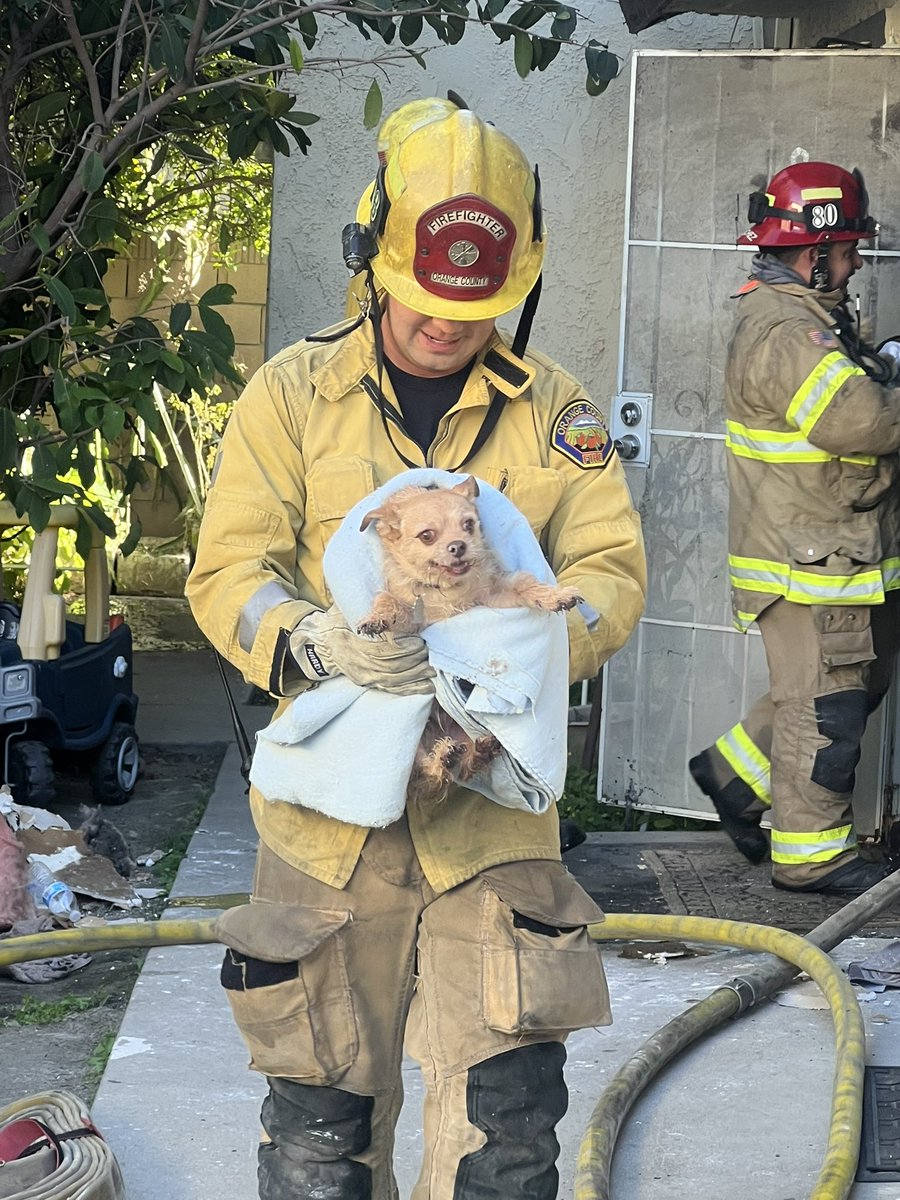 🐕 Dog Saved 🐕
Yesterday, OCFA firefighters responded to an apartment fire with flames coming from a second-floor unit in Garden Grove. Crews quickly contained the fire—saving the dog in this photo from smoke and flames.&gt;&gt;&gt;&gt;
