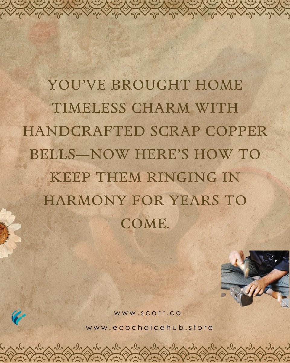 SCORR LTD tweet media