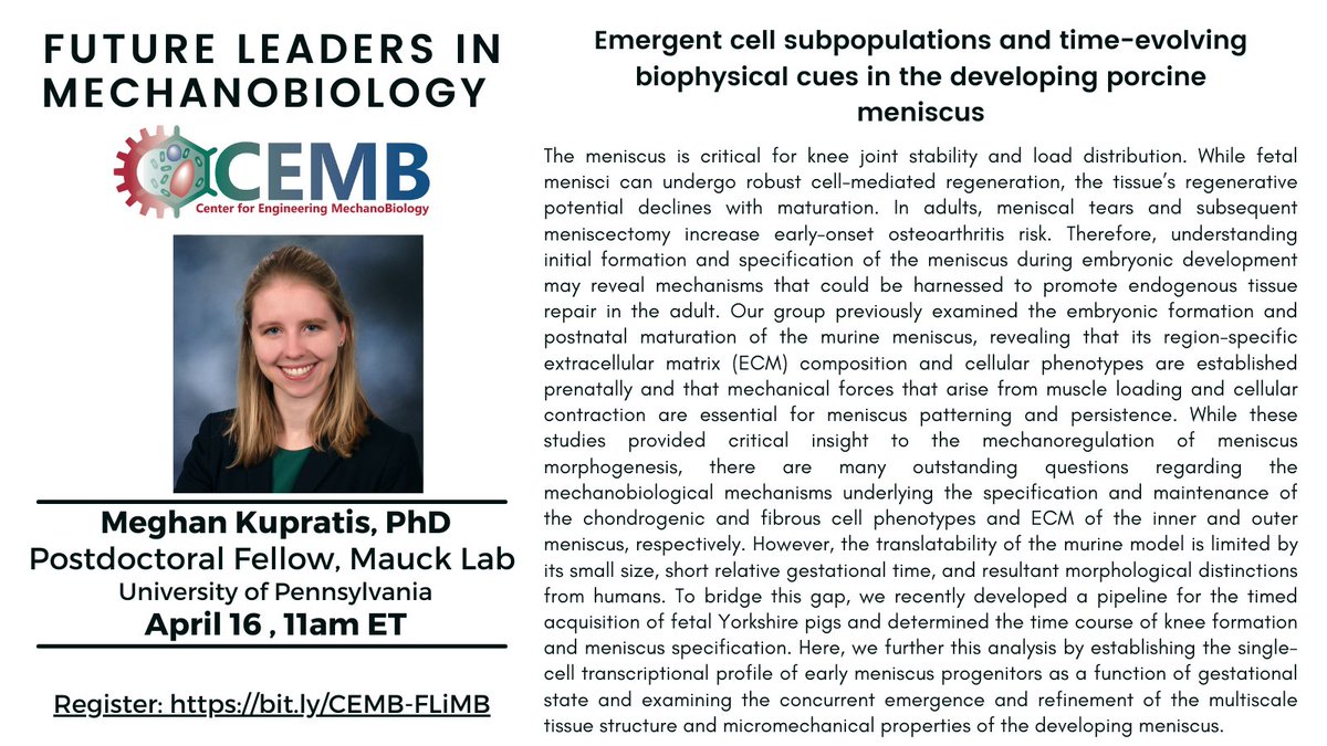 Our final 2024 - 2025 Future Leaders in Mechanobiology seminar returns this month on 4/16! Sign up to hear from Meghan Kupratis, Ph.D. : Emergent cell subpopulations and time-evolving biophysical cues in the developing porcine meniscus

bit.ly/CEMB-FLiMB