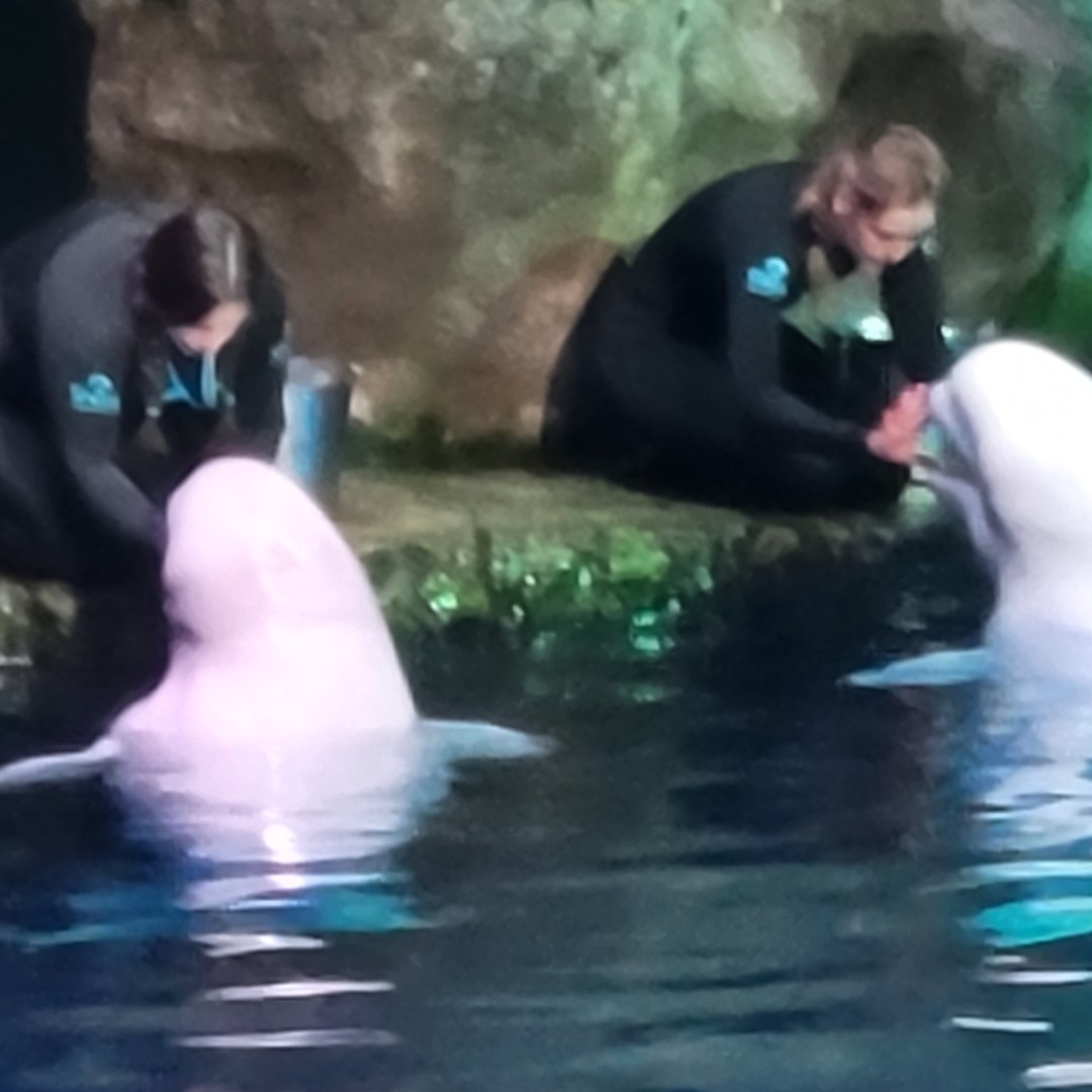 Epic Academy tweet media