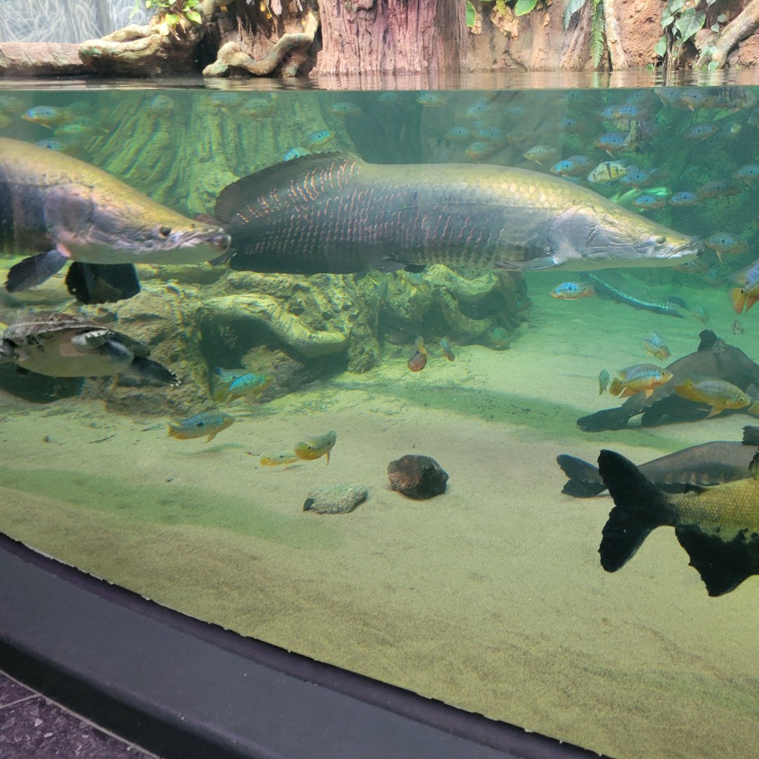 Epic Academy tweet media