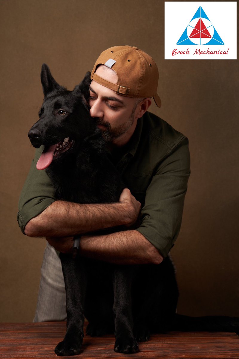 BrockMechanical's tweet photo. National Hug Your Dog Day. We would love to see your pictures of your furry friends being loved! 
(248) 529-6251, https://t.co/UsRef9xJ10 https://t.co/WLkIahbpAF
