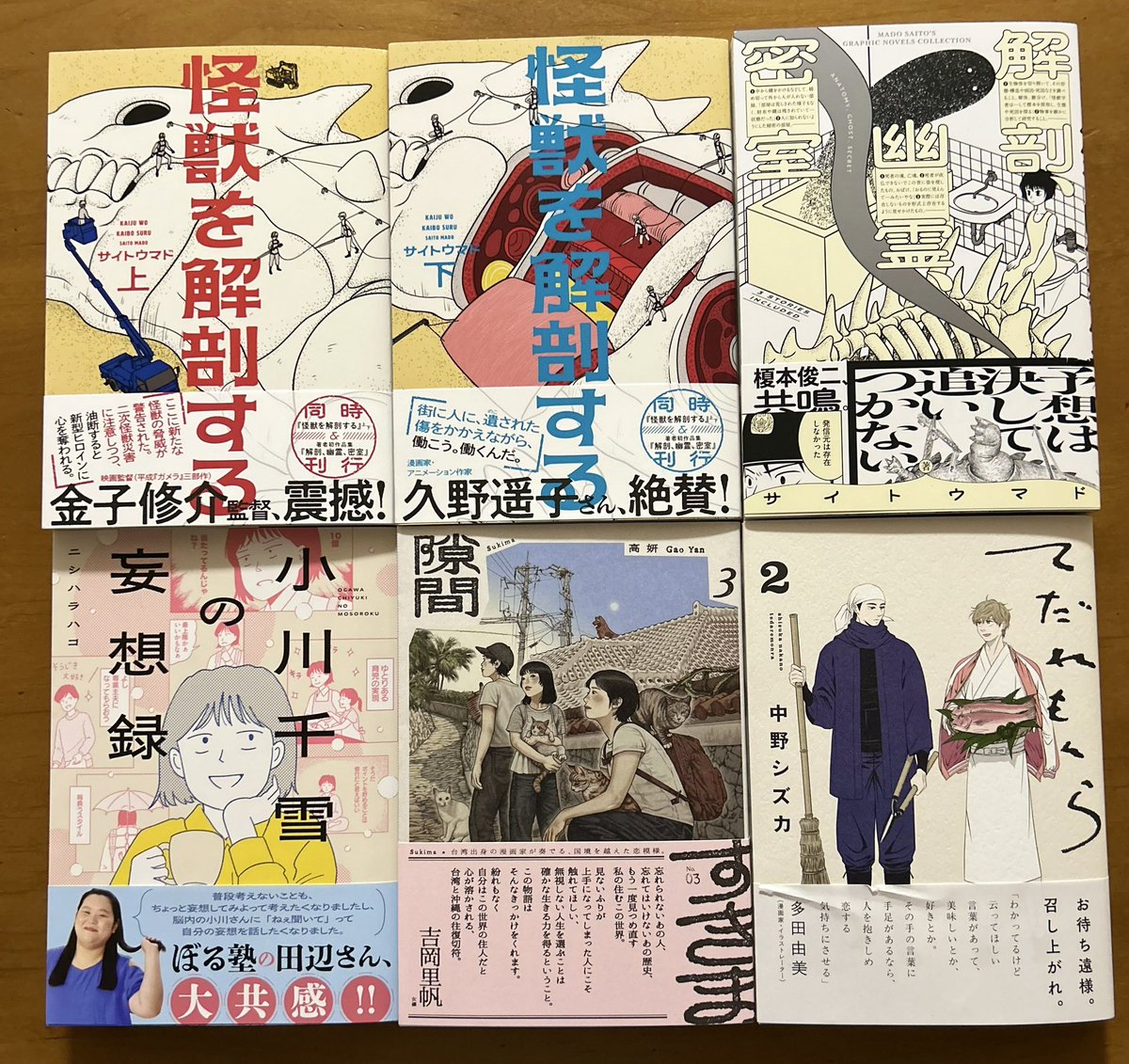 今月のBEAM COMIXは大漁㊗️
#怪獣を解剖する 上下巻
#解剖幽霊密室
#小川千雪の妄想録
#隙間③
#てだれもんら② 
