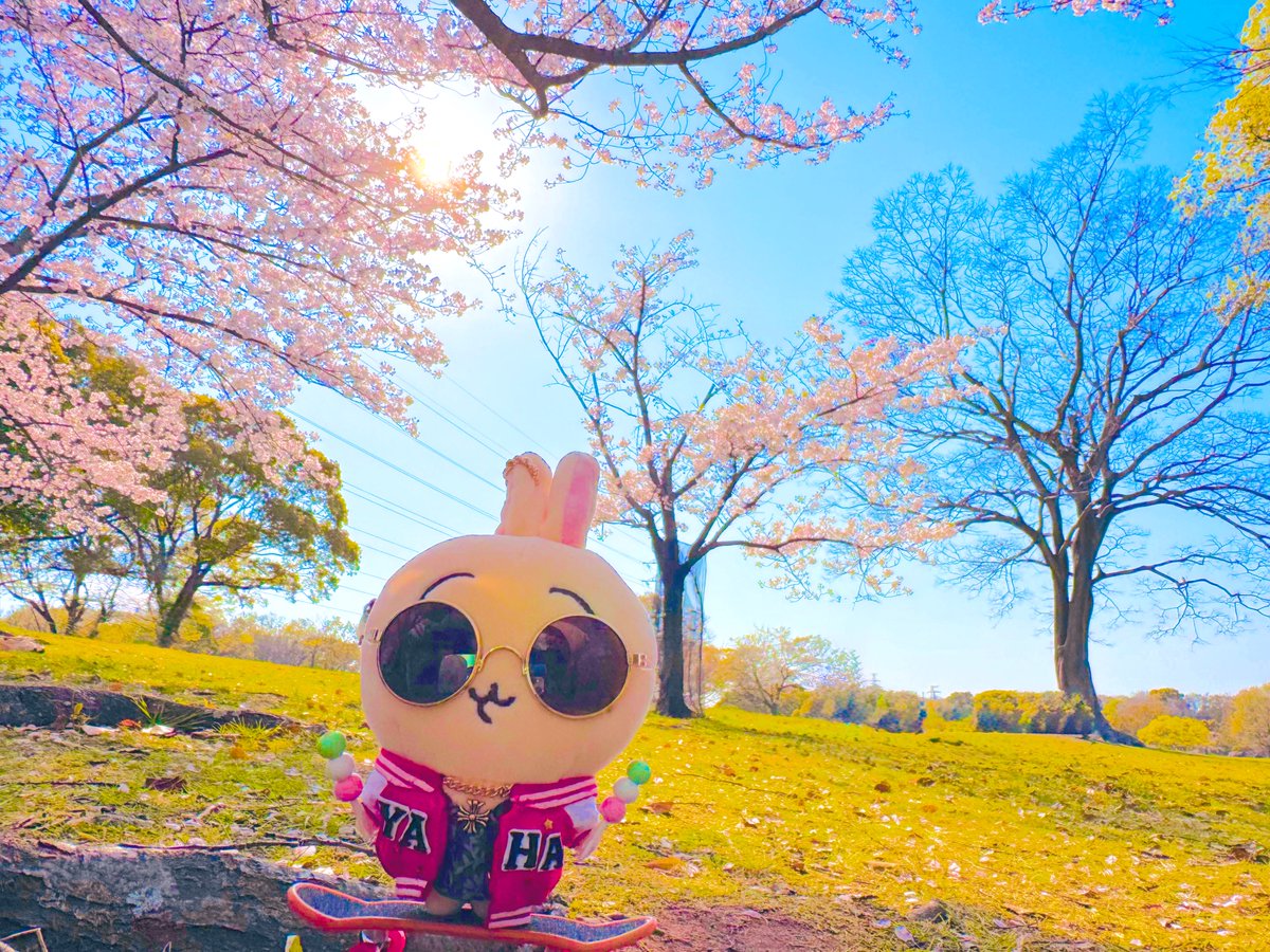 スケボー🛹でツツウラウラ🌸
