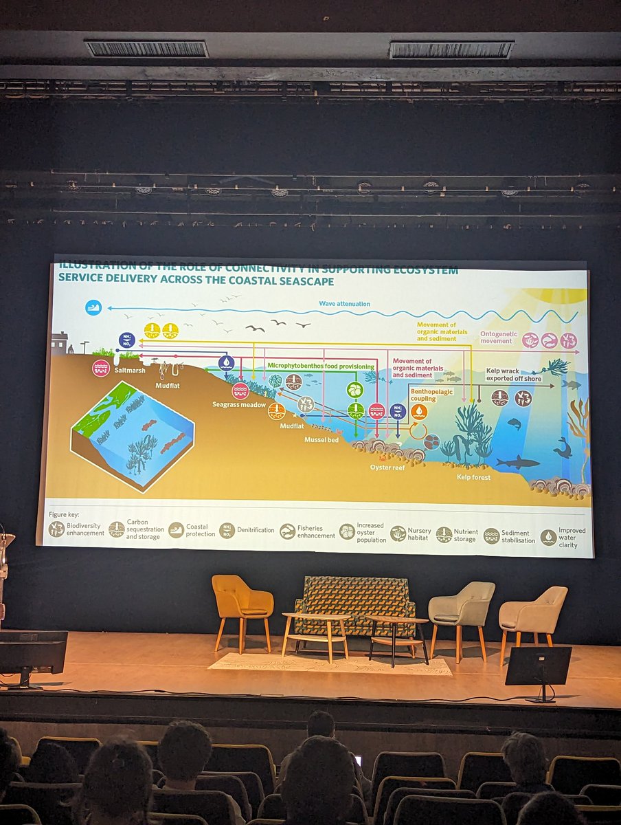 Charlotte Jennings tweet media