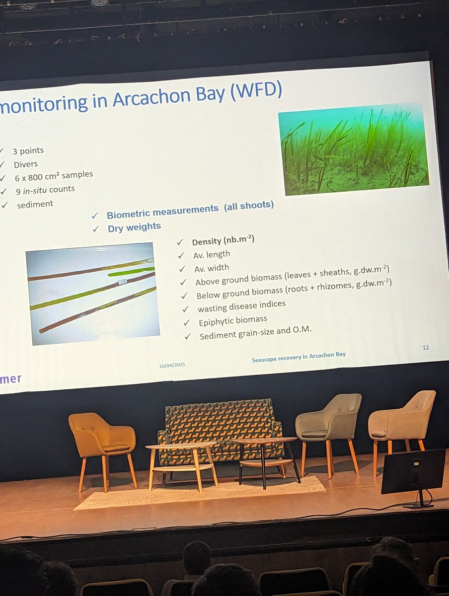 Charlotte Jennings tweet media