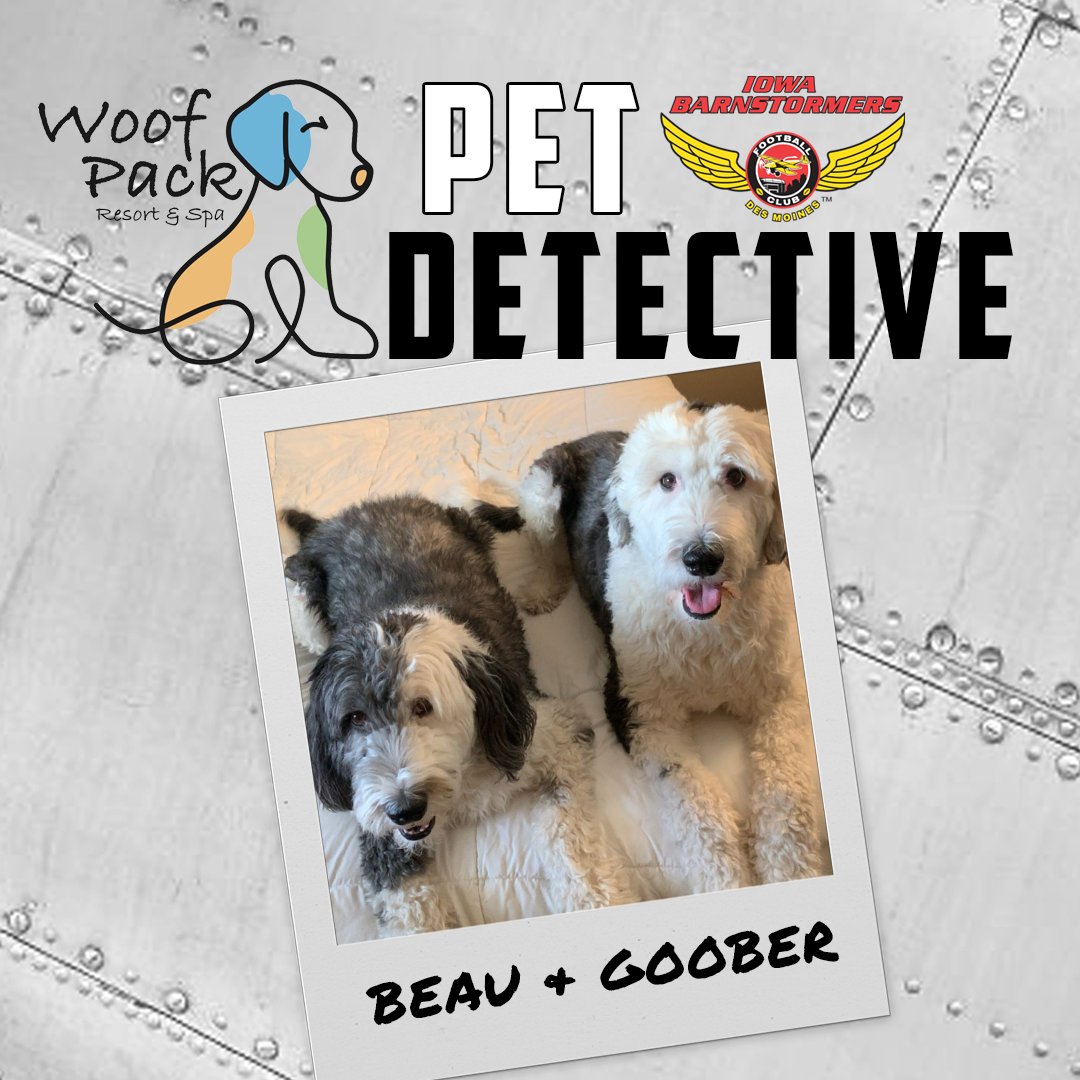 iabarnstormers's tweet photo. Put your detective skills to the test in the Woof Pack Resort &amp; Spa's Pet Detective!

Which Iowa Barnstormers player do these doggos belong to?

Here are your clues:
1. He is on the offense
2. He is a rookie
3. He is an Iowa native https://t.co/2ks7t47R05