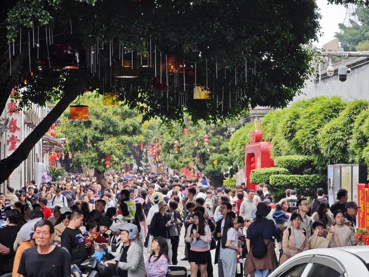 最果ての夢(๑¯Δ¯๑)/幸運のgloom tweet media