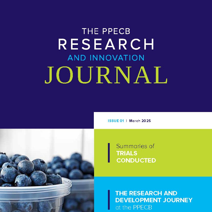 PPECB South Africa tweet media