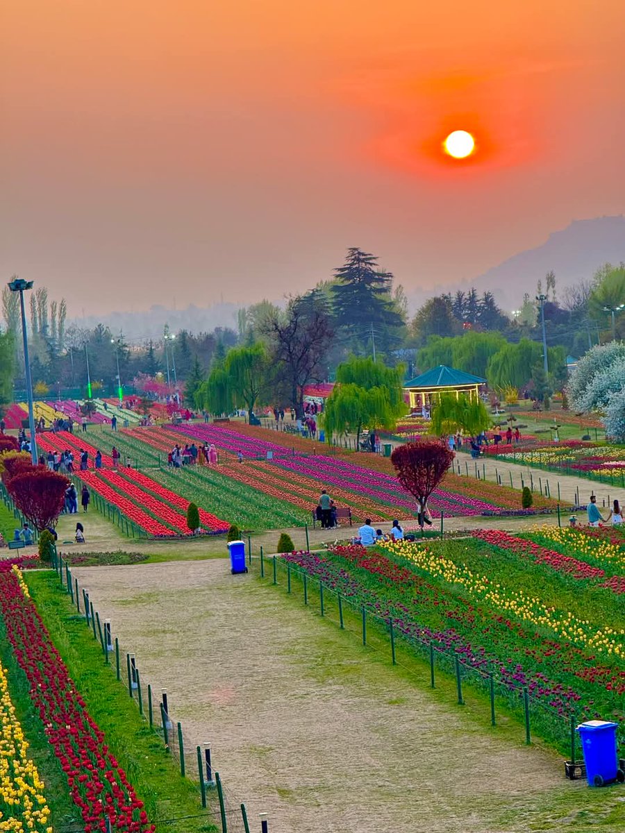 Er.Gulzar🍁 (@ergulzar_) on Twitter photo Sunset view in Asia's largest #tulipgarden in #Srinagar #Kashmir.
<a href="/Adivasi_JK/">Er Irshad Choudhary</a> <a href="/akshays_io/">Er. Akshay Dhar</a> <a href="/anilbhardwajj/">Er. Anil Bhardwaj (AEE)</a> <a href="/basharatias_dr/">Dr. Basharat. IAS</a> <a href="/BharatBush29761/">Bharat Bushan</a> <a href="/CM_JnK/">Office of Chief Minister, J&K</a> <a href="/Er_FIRDOUSGANAI/">FIRDOUS GANAI</a> <a href="/Er_FirdousBhat/">Firdous Bhat</a> Sunset view in Asia's largest #tulipgarden in #Srinagar #Kashmir.
<a href="/Adivasi_JK/">Er Irshad Choudhary</a> <a href="/akshays_io/">Er. Akshay Dhar</a> <a href="/anilbhardwajj/">Er. Anil Bhardwaj (AEE)</a> <a href="/basharatias_dr/">Dr. Basharat. IAS</a> <a href="/BharatBush29761/">Bharat Bushan</a> <a href="/CM_JnK/">Office of Chief Minister, J&K</a> <a href="/Er_FIRDOUSGANAI/">FIRDOUS GANAI</a> <a href="/Er_FirdousBhat/">Firdous Bhat</a>