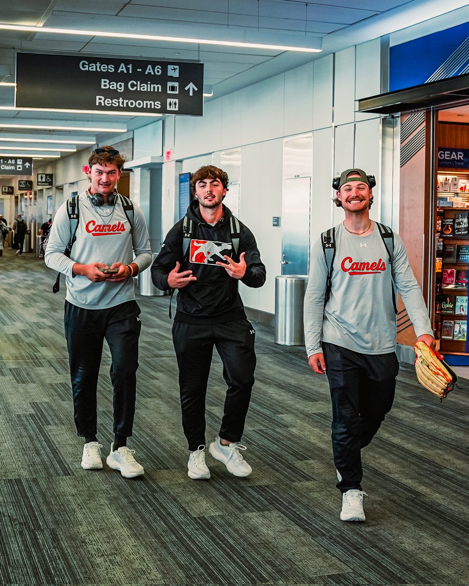GoCamelsBSB's tweet photo. Wheels up. 🛫

#RollHumps https://t.co/Oj9Qqh0HOv