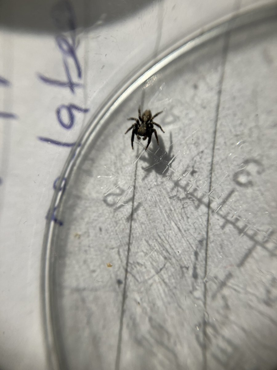 Anthony Brandreth tweet media