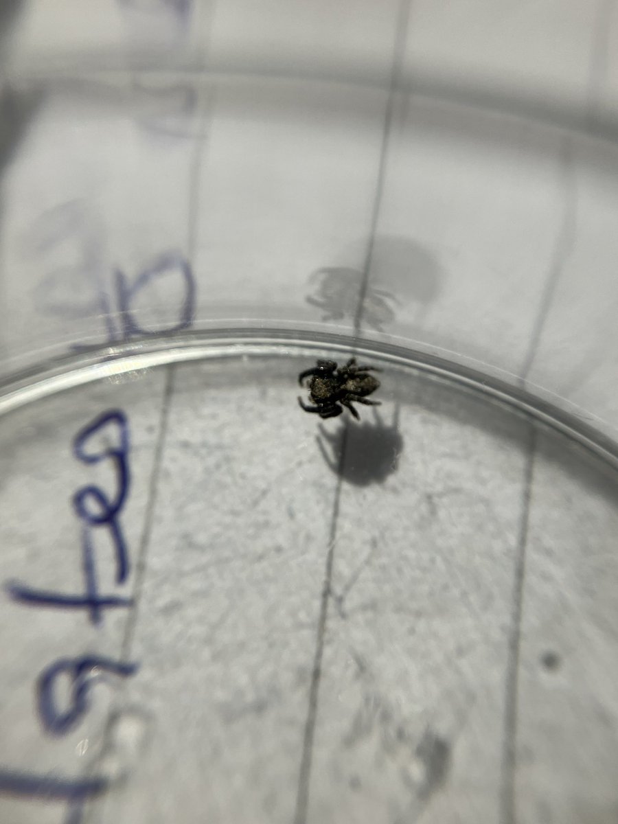 Anthony Brandreth tweet media