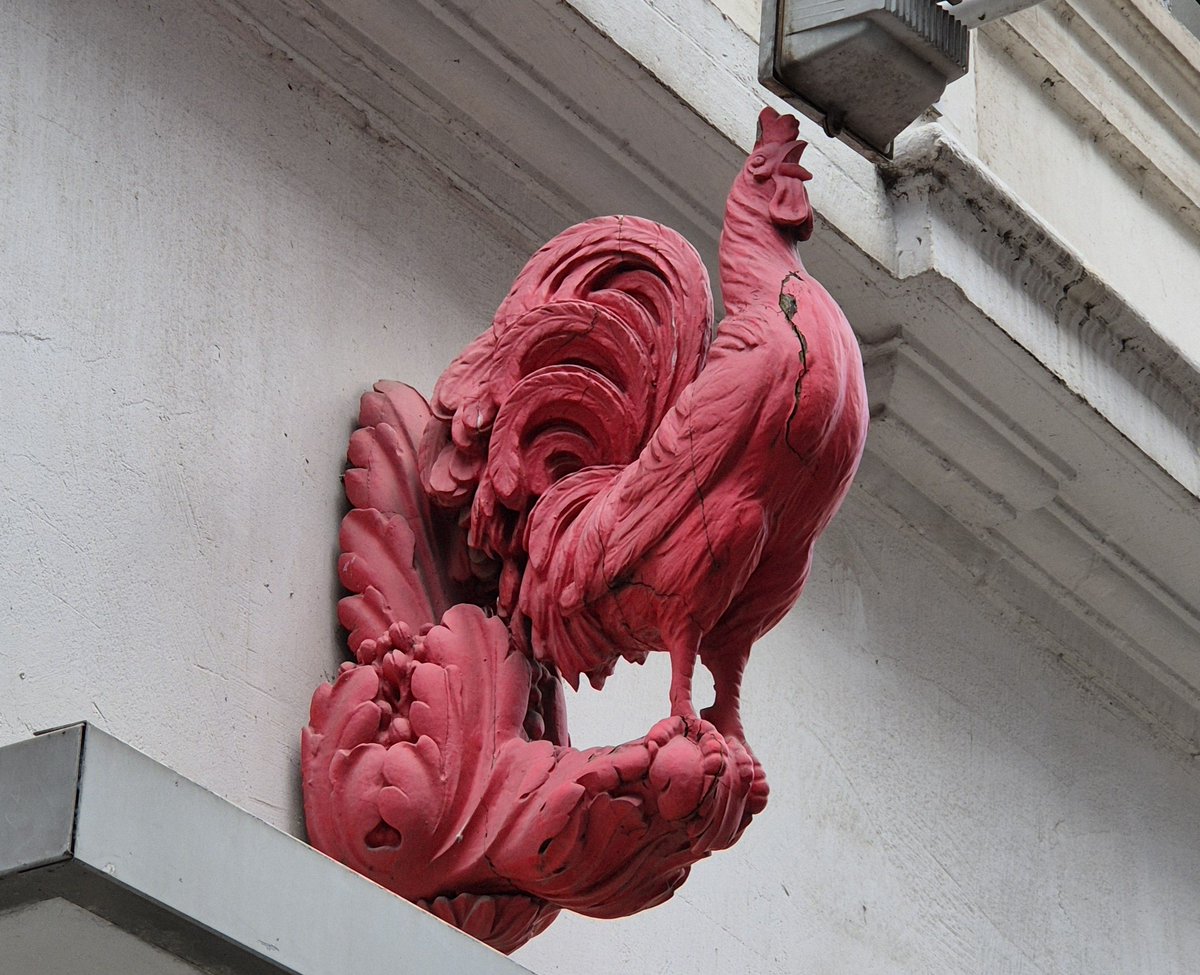 In #Gouda kennen we de #BlaauweHaan. In #Mechelen zag ik een ver familielid.