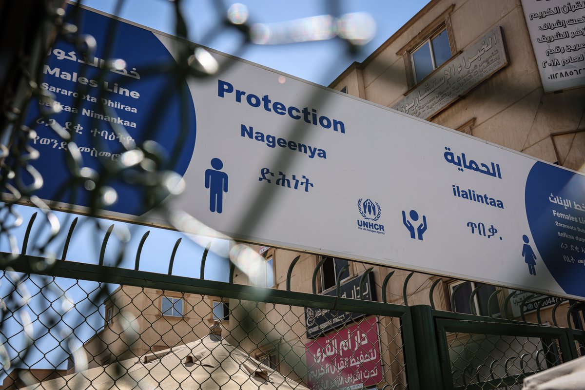 Jersey Overseas Aid (@jerseyoac) on Twitter photo After 2 years with <a href="/UNHCREgypt/">UNHCR Egypt</a>, one of our UN JPOs reflects on life at the frontline of refugee protection — from 15k+ assessments to learning Sudanese sign language. A powerful, personal story of impact.
Read more: bit.ly/4juaHqU
#UNHCR #RefugeeSupport #Humanitarian After 2 years with <a href="/UNHCREgypt/">UNHCR Egypt</a>, one of our UN JPOs reflects on life at the frontline of refugee protection — from 15k+ assessments to learning Sudanese sign language. A powerful, personal story of impact.
Read more: bit.ly/4juaHqU
#UNHCR #RefugeeSupport #Humanitarian
