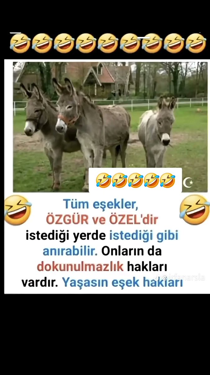 52nefes52's tweet photo. @06melihgokcek Evet   tüm   hayvanlar. Özgür dür  ve  çok  özel  dir  😂😂😂😂 https://t.co/013Czd2gSN