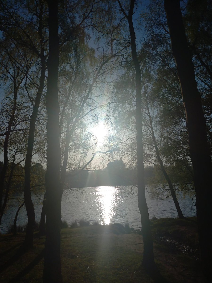 RachArmor's tweet photo. What a beautiful evening for a walk with the sun beaming across the lake @tatton_park https://t.co/9A2R1wjVDS