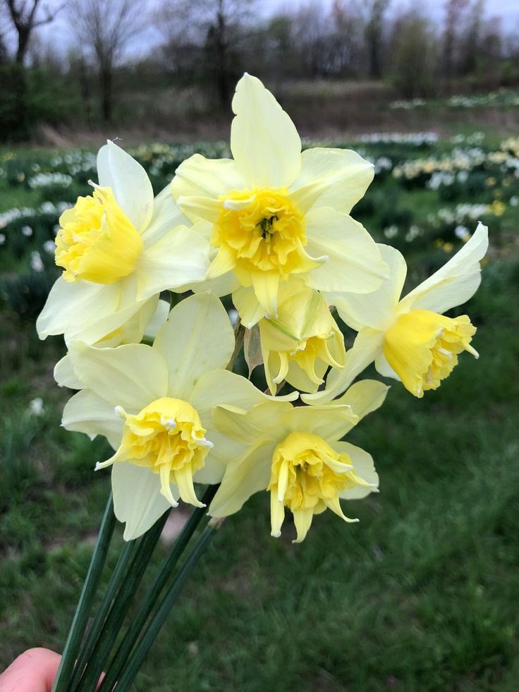giftsofamusical's tweet photo. ˚ʚ⭐️ɞ˚ for @Thunder0bringer

“We can try again, infinity's end, like a loop And I'd pay that price again a time or two.” — Infinity End, Marcus Skeen

₊˚⊹♡❀˖°🍋

In all lifetimes, in all possibilities, only you.💛 - @wrriorofthemind

(art creds: neil illustrator on yt) .⊹ 🐝 https://t.co/fb0NHUGLuq