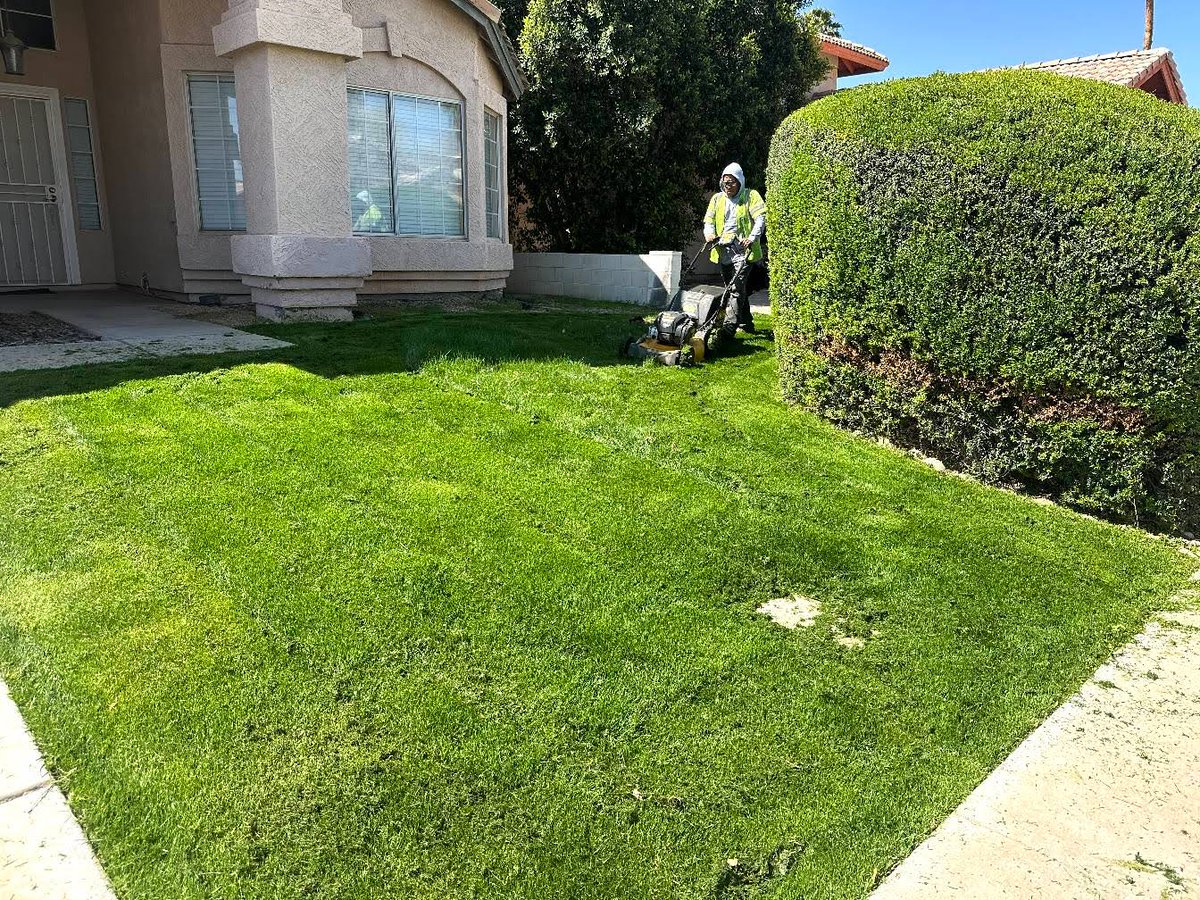 HouseofYardsApp's tweet photo. Adding sod installation to your services is a fantastic way to increase sales beyond just mowing. It’s a high-demand upgrade that customers love—quick results, happy clients, and bigger profits. Give it a try! #LawnCareBusiness #SodInstallation #GrowYourBusiness #LandscapingTips https://t.co/uRoyy4n401