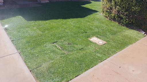 HouseofYardsApp's tweet photo. Adding sod installation to your services is a fantastic way to increase sales beyond just mowing. It’s a high-demand upgrade that customers love—quick results, happy clients, and bigger profits. Give it a try! #LawnCareBusiness #SodInstallation #GrowYourBusiness #LandscapingTips https://t.co/uRoyy4n401