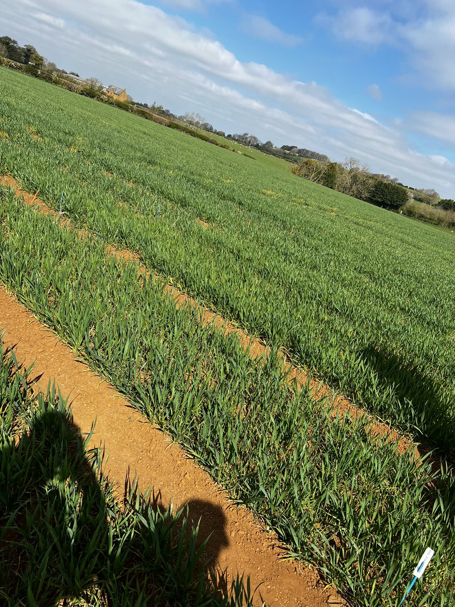 Rob Stuart tweet media