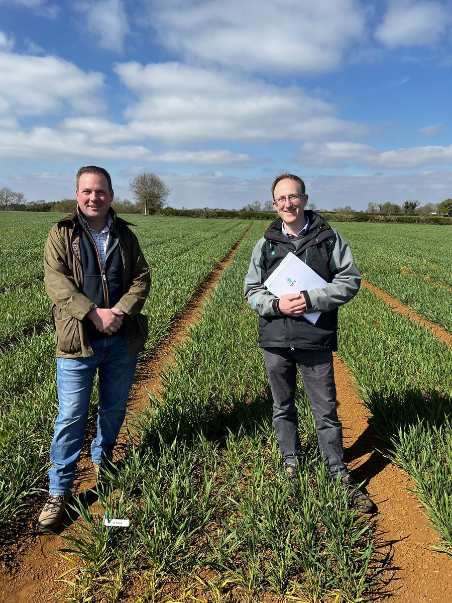 Rob Stuart tweet media