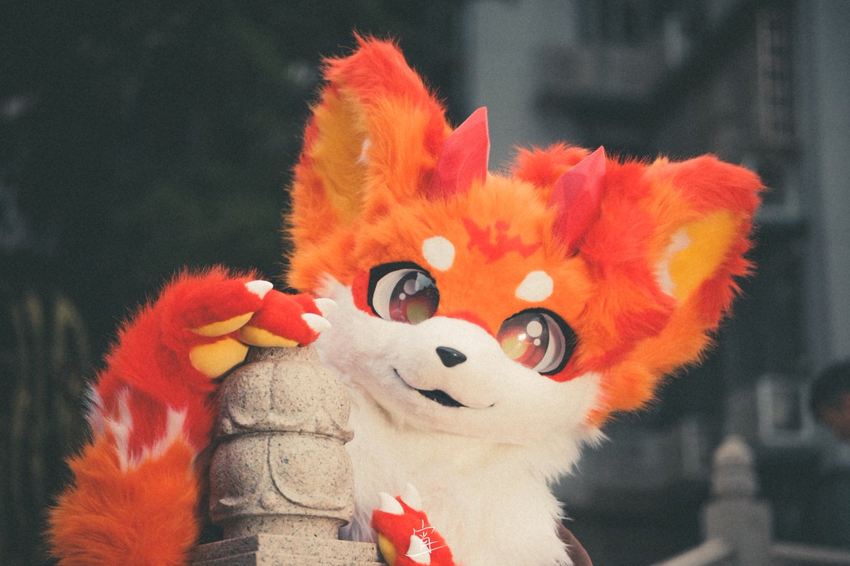 Not4orange's tweet image. 小桥，古街，暖阳，
还有我。
📷：@yexiaoyexiaoye
最可爱的一张照片了，喜欢~
#FursuitFriday #furry
