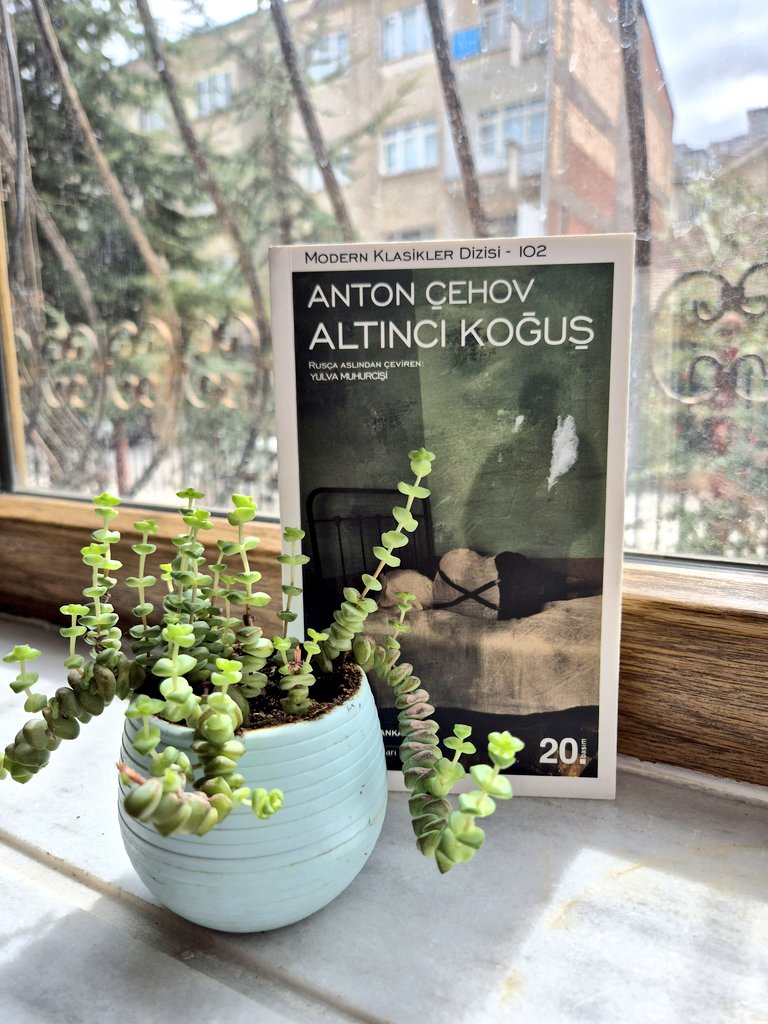 Kitabı okurken aklıma Rosenhan deneyi geldi deneyi okumanızı tavsiye ederim  deneyde sonucuda ilginç.. #kitaptavsiyesi #okudumbitti #antoncehov #altıncıkoğuş 10.04