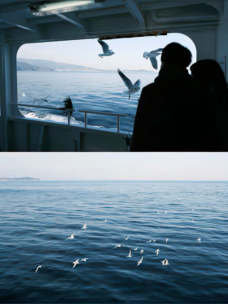 blue dream (@bluedreamvibes) on Twitter photo 