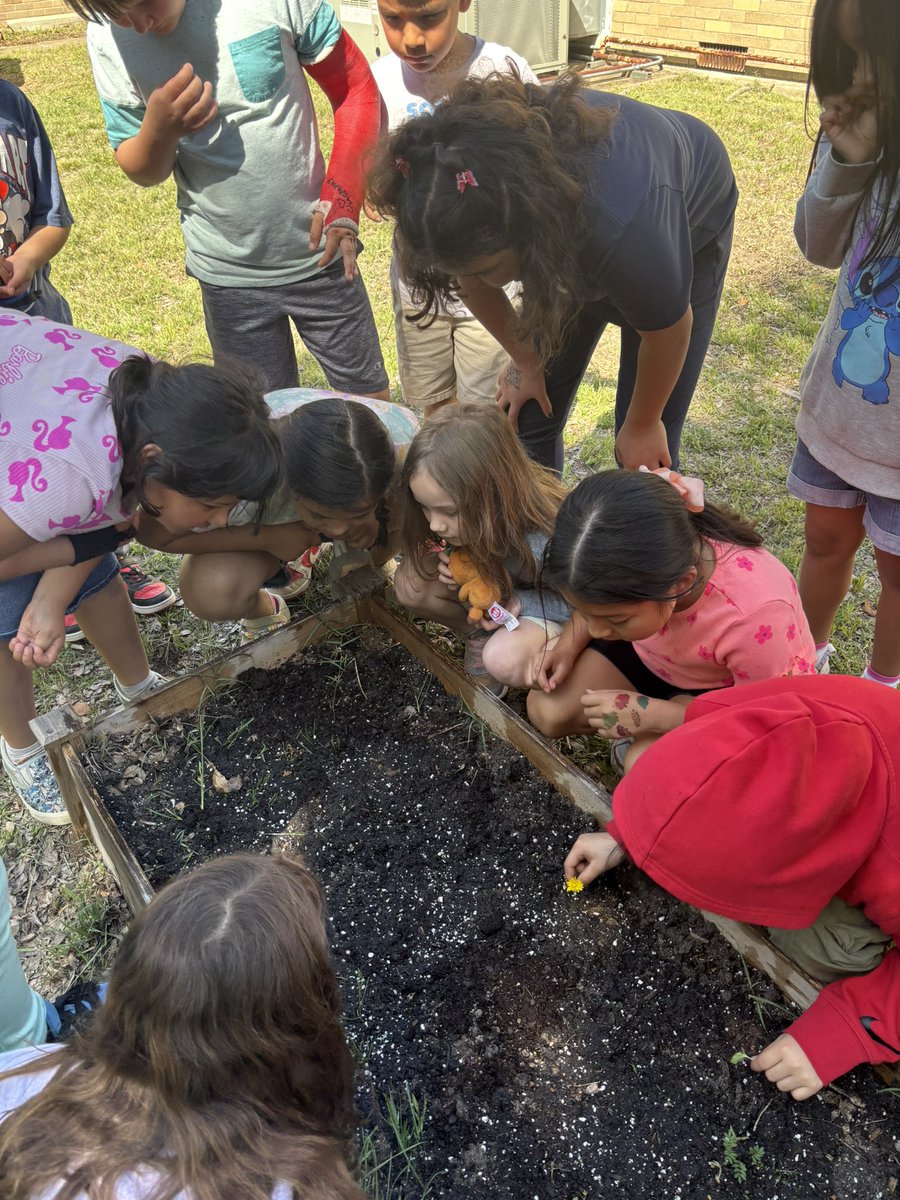 Abigail Lancaster tweet media