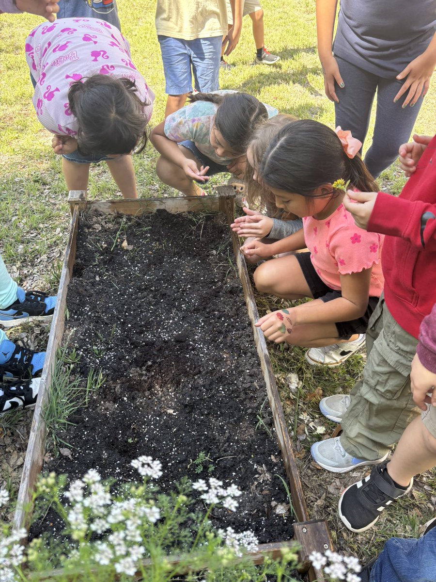 Abigail Lancaster tweet media