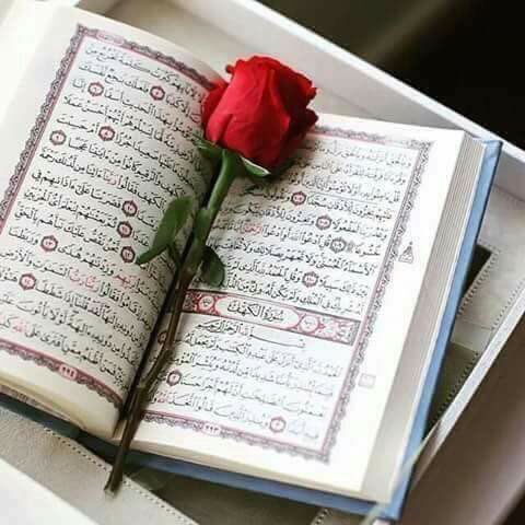 اللهم في ليلة الجمعة أسألك
أن تشفي مرضانا وترحم موتانا
وتيسر أمورنا تجعلها فٓـرٓجاً
لكل صابر وزيادة لكل شاكر🍃🌺🍃
