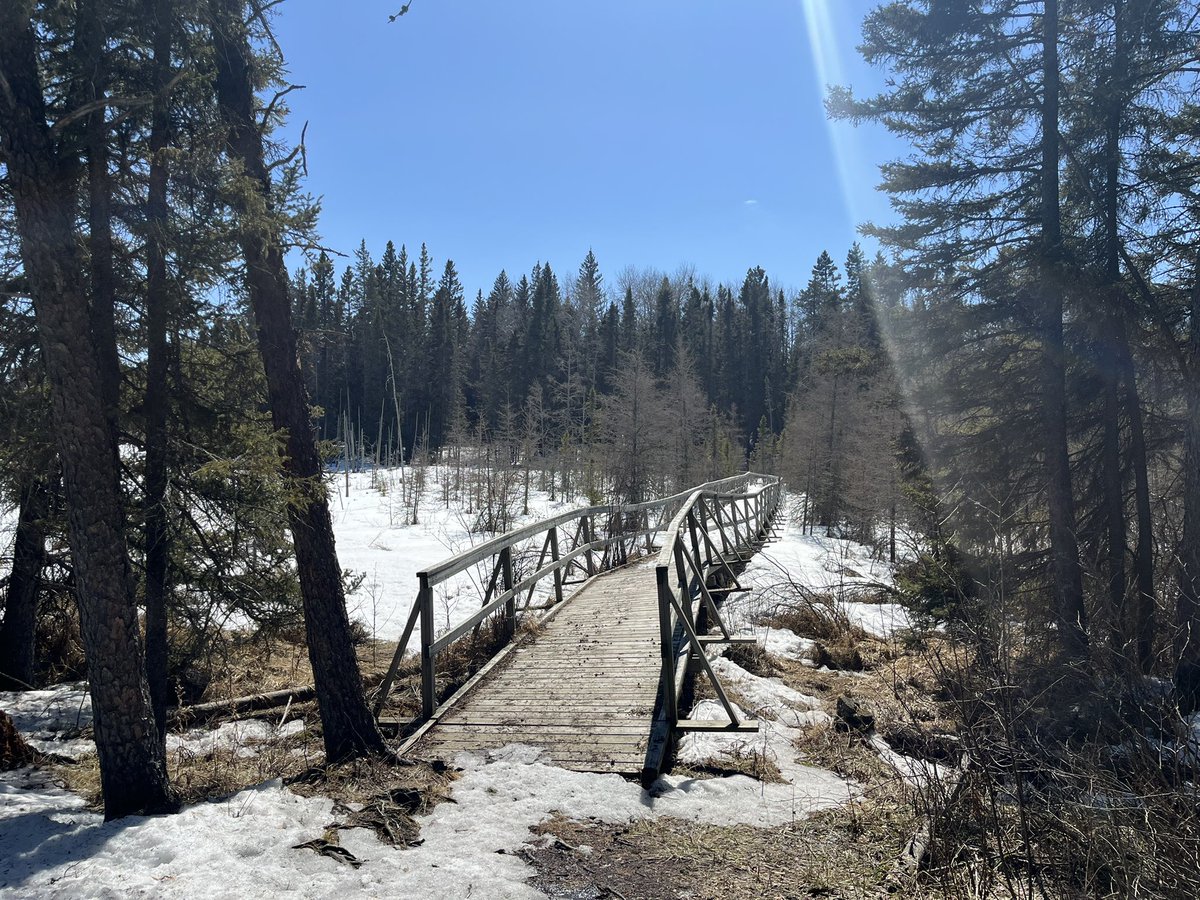 blueskytiff's tweet photo. Rough day, so went on a hike! Deep, soft snow made for a great workout 🫠 https://t.co/Tk6tXnfdN5