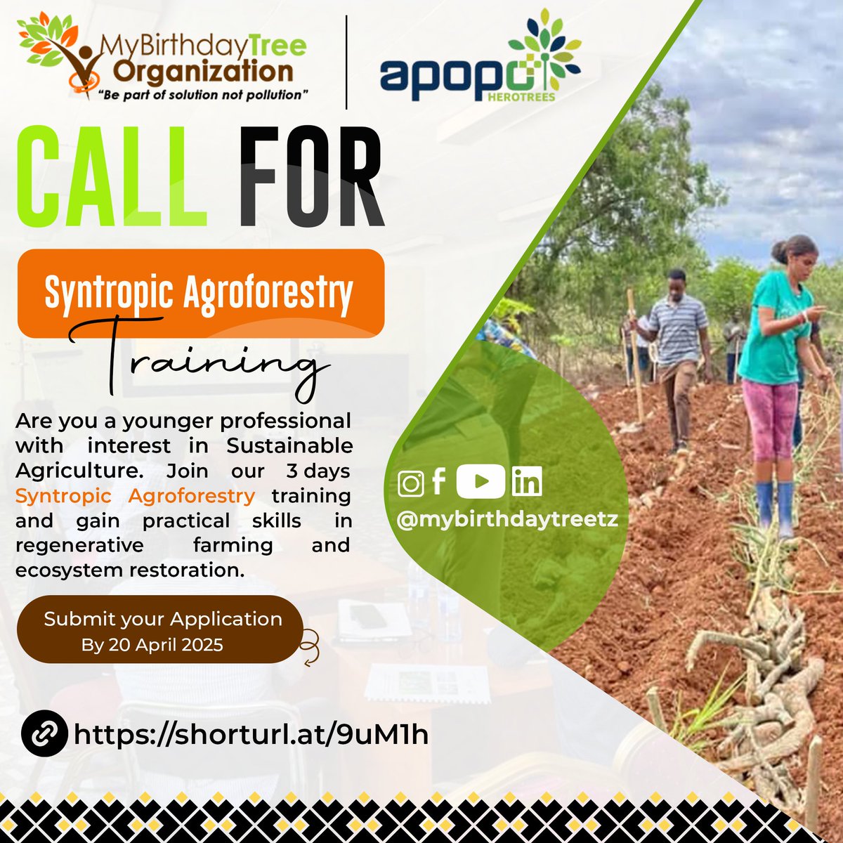 We're inviting local farmers and young professionals to apply for our 3 days  Syntropic Agroforestry training program a hands on opportunity to learn regenerative farming practices that restore soil health, boost biodiversity, and grow food in harmony with nature 🌎 💚