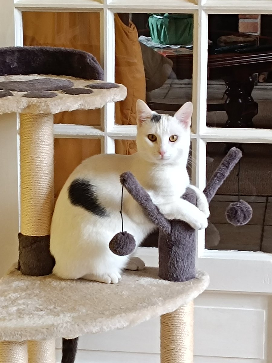 julien truptil tweet media