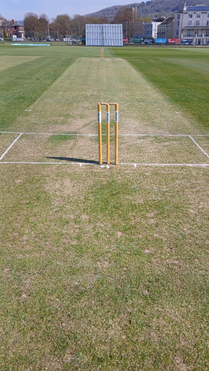 Ian Palmer tweet media