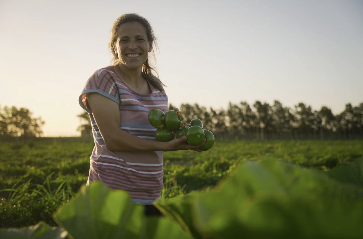 "This land I borrow from my children.”

Rosina 👩‍🌾🇺🇾 believes in working the land with respect and care, to ensure a better future for the generations to come.

Here’s how she’s joining forces with other rural women to lead #ClimateAction efforts: go.undp.org/3Dj