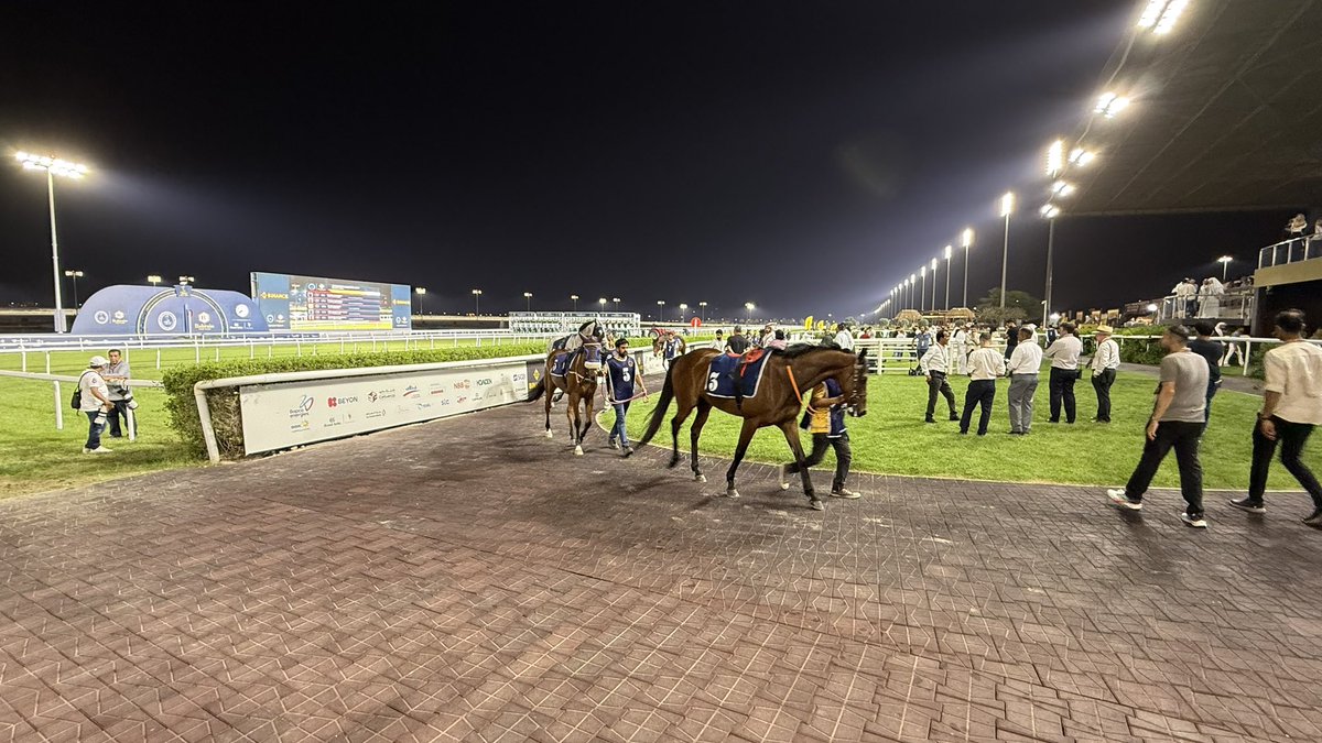 Bayan Alsayed tweet media